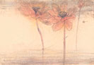 空白